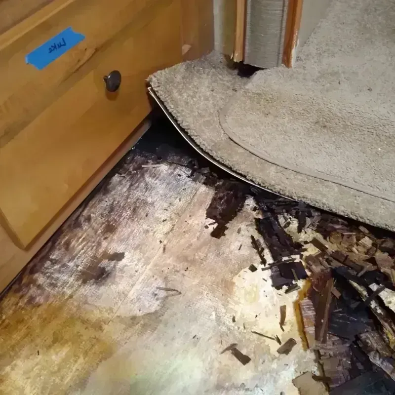 Wood Floor Water Damage in Lincoln Park, IL